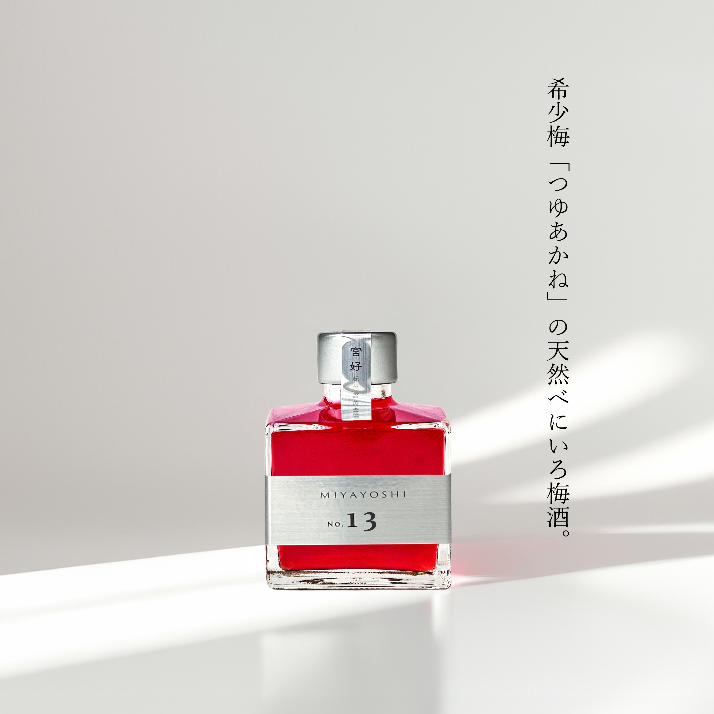 写真：MIYAYOSHI No.13