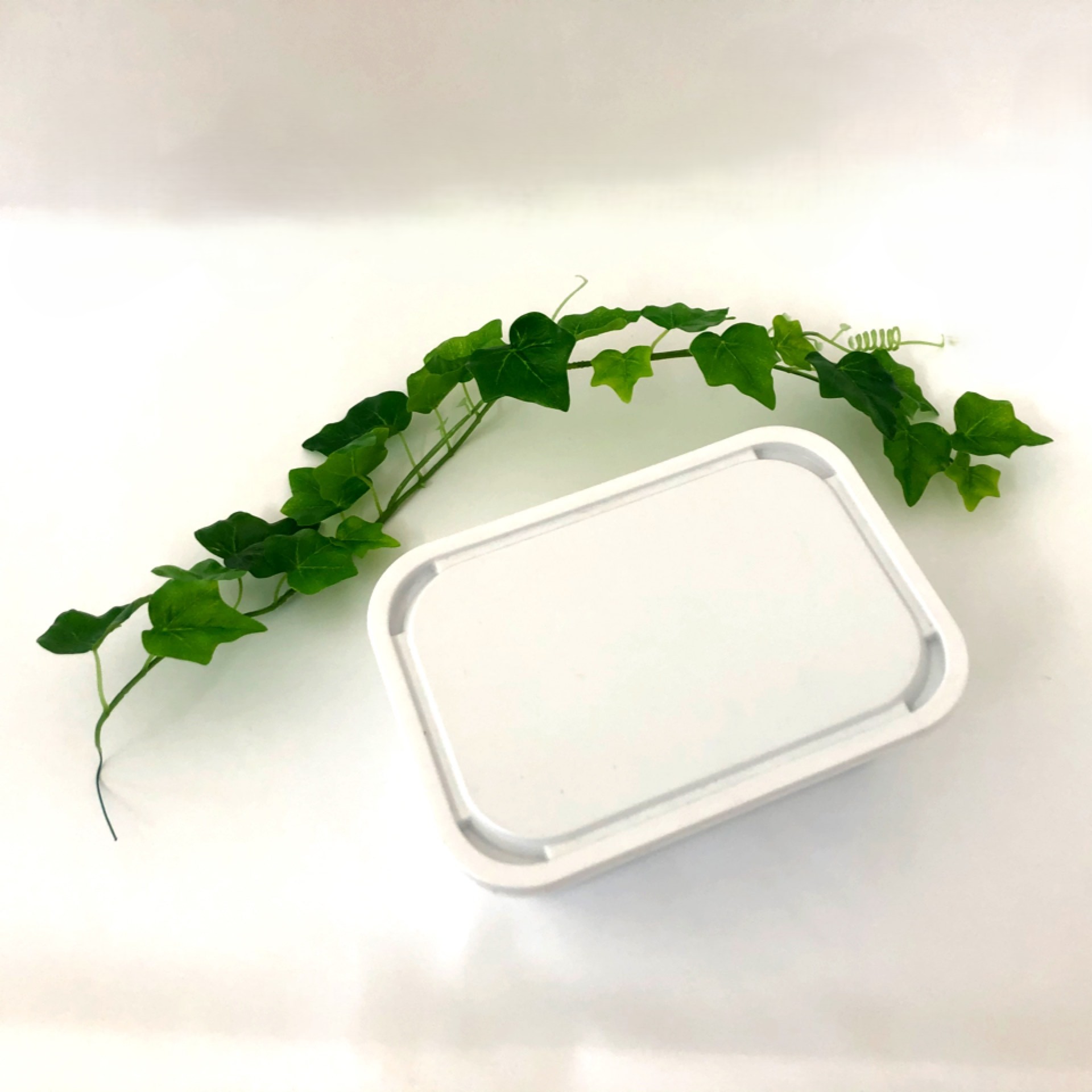 写真：業務用アイスクリーム　2ℓ