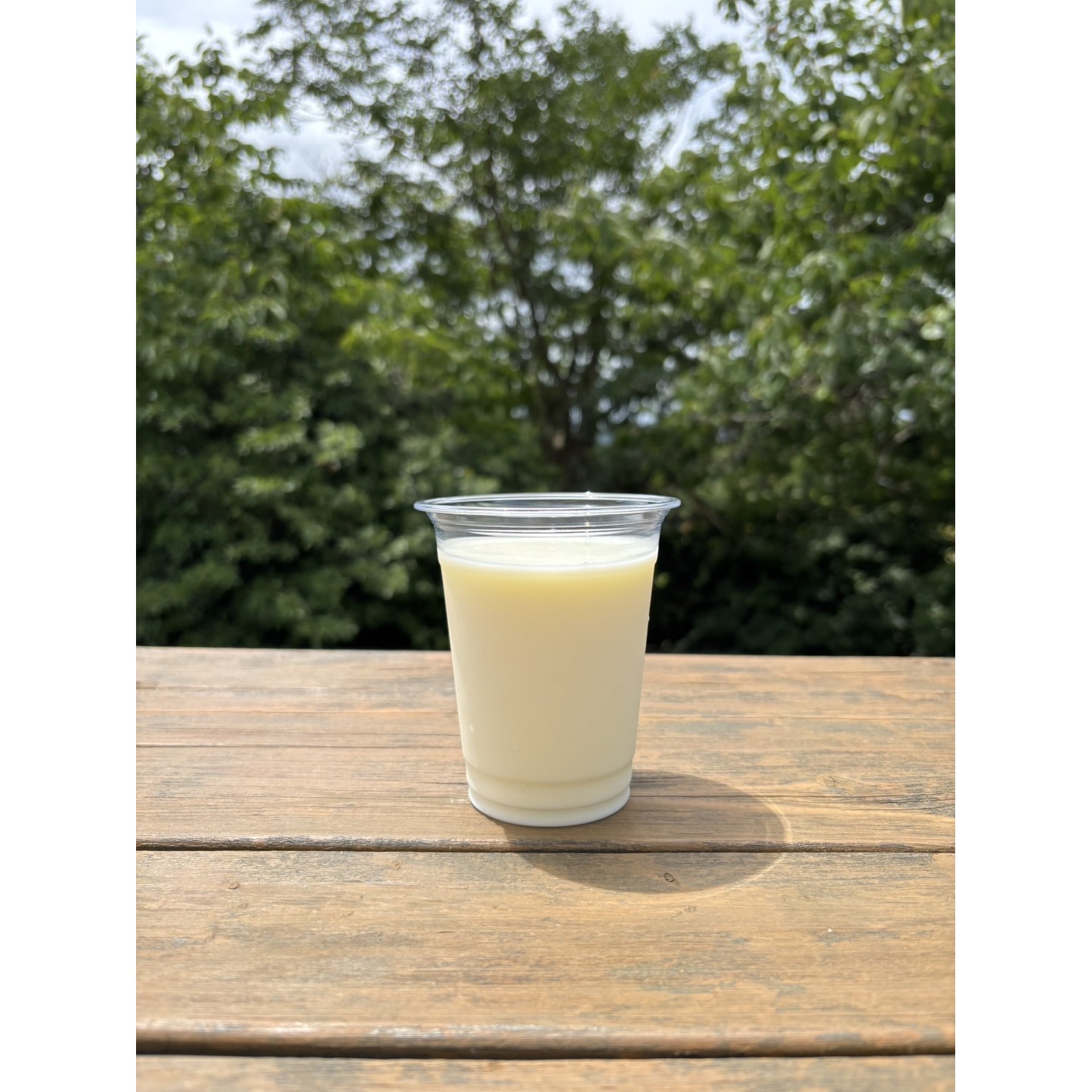 写真：やさしい牛乳