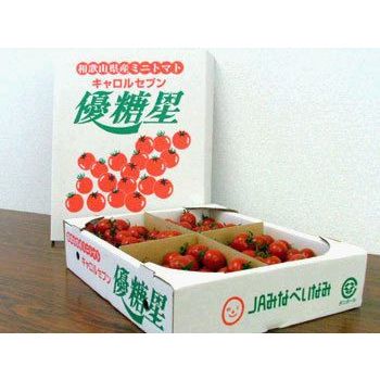 写真：優糖星