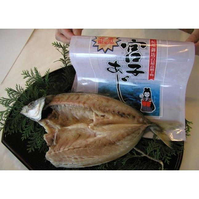 写真：宮子あじ