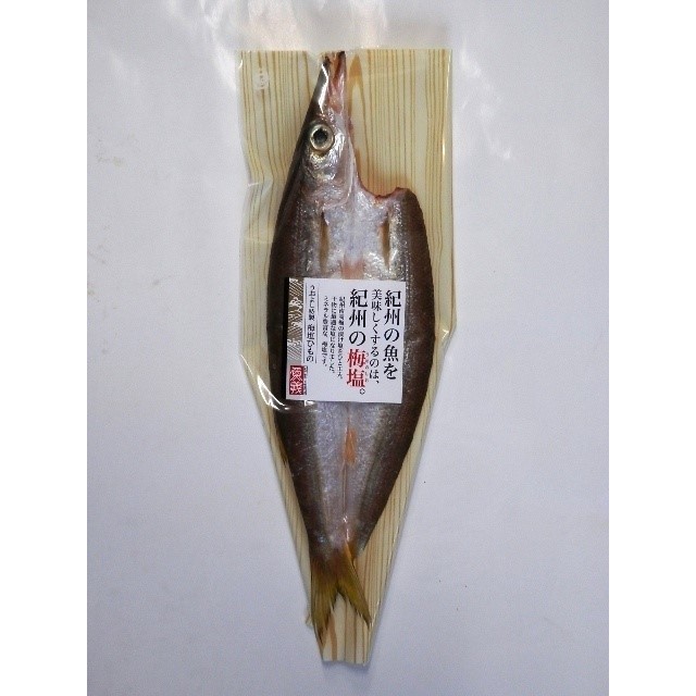 写真：カマス開き(大)1尾