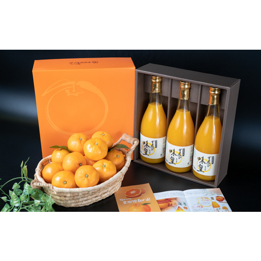 写真：有田みかんの味皇(あじおう) 720ml