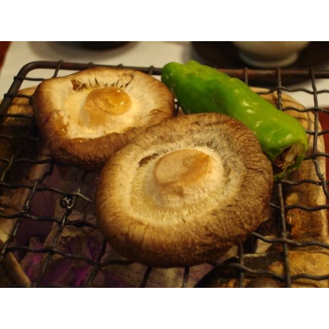 写真：菌床生椎茸(清流椎茸)