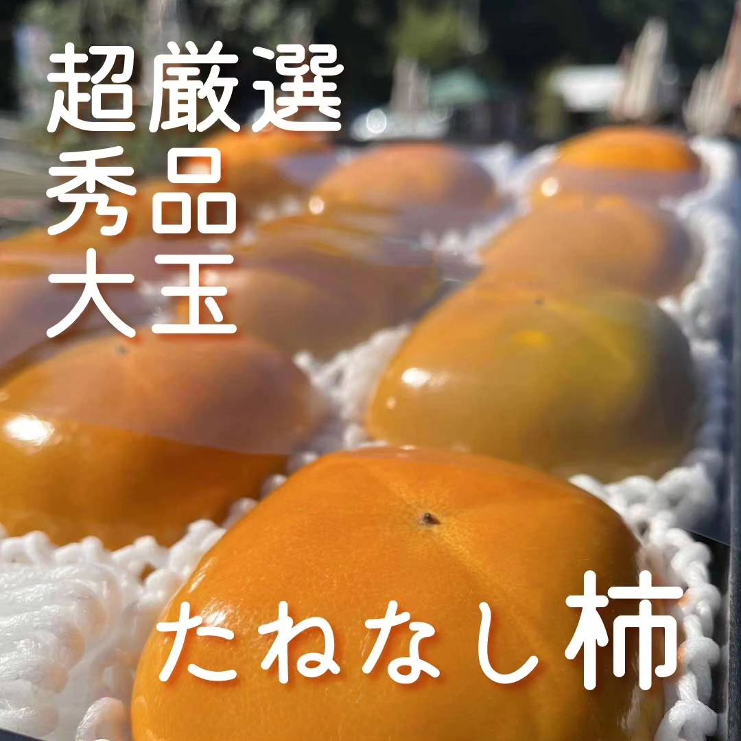 写真２
