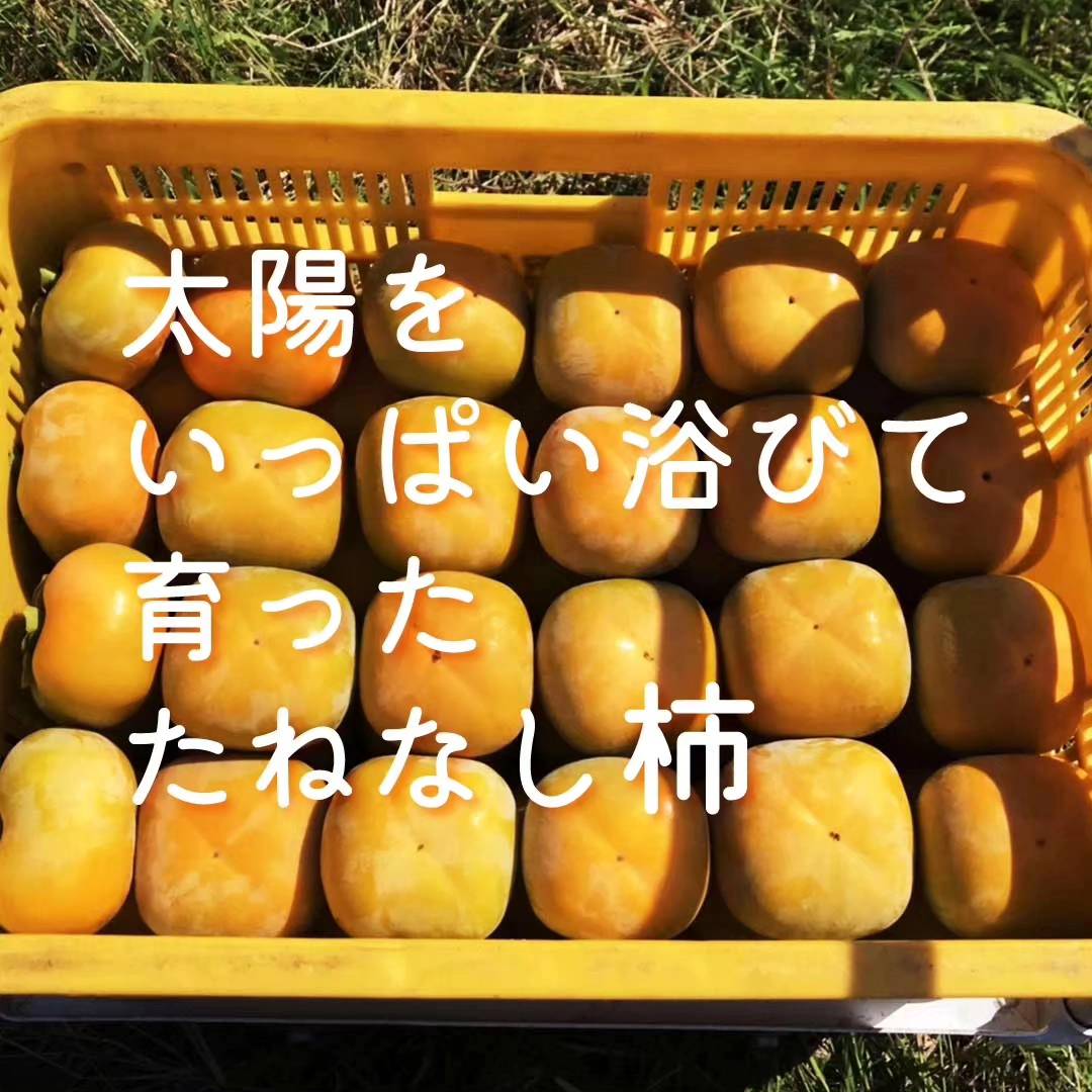 写真３