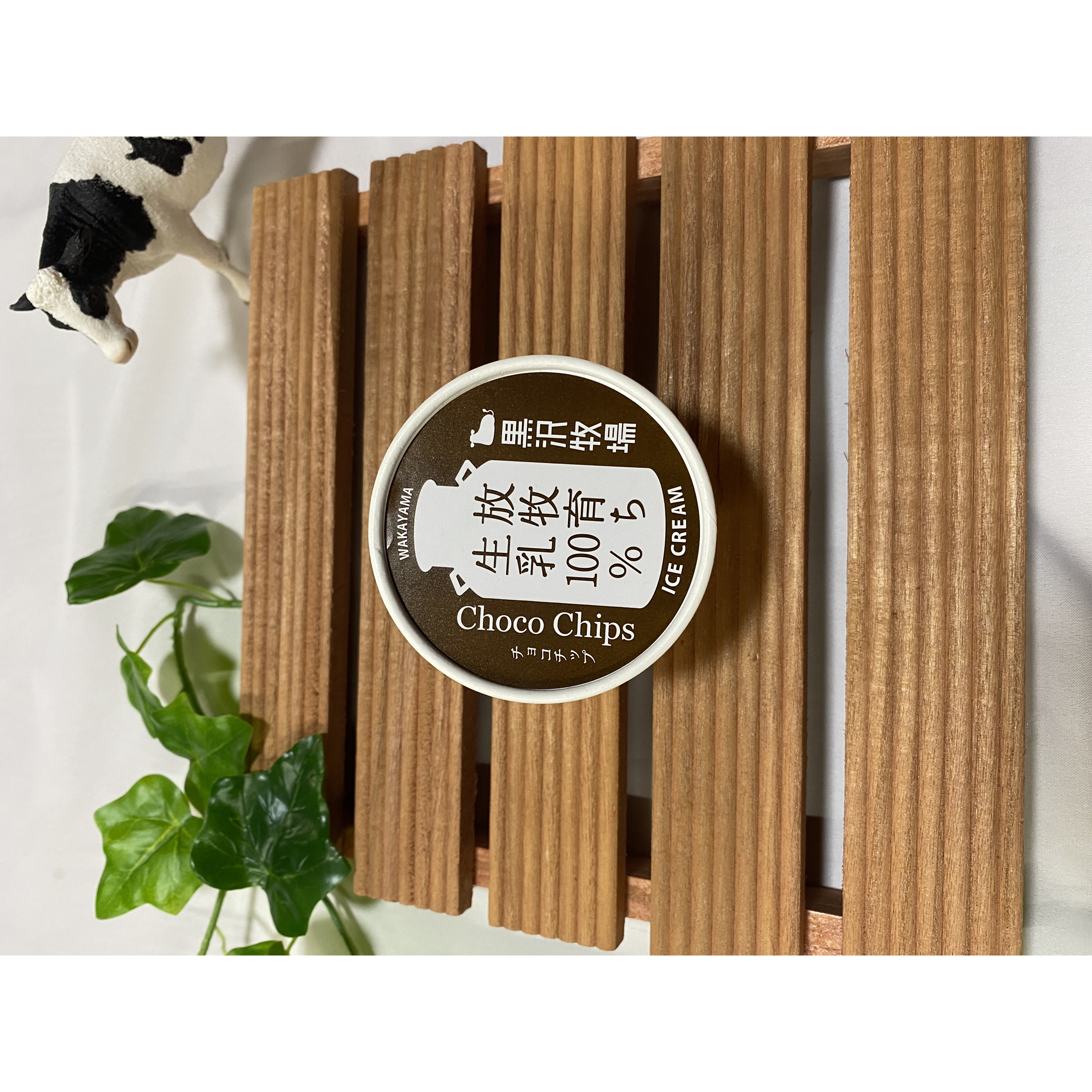 写真：黒沢牧場アイス　チョコチップ